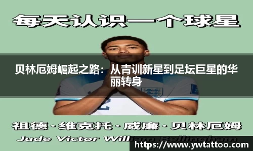 k1体育